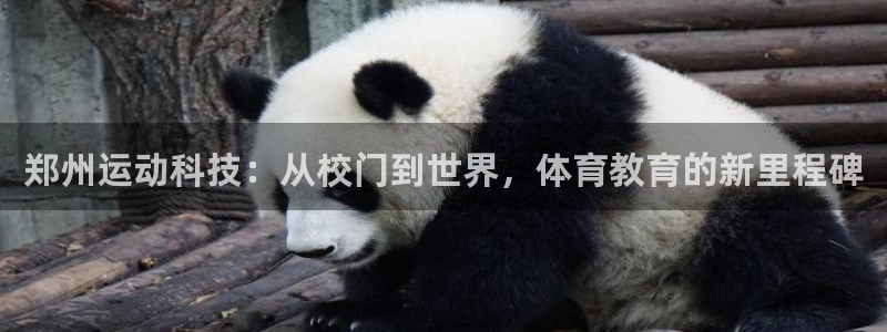 oety欧亿：郑州运动科技：从校门到世界，体育教育的新里程碑