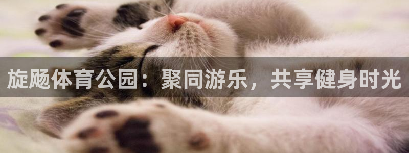 oety欧亿：旋飏体育公园：聚同游乐，共享健身时光