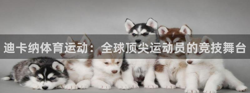 oety欧亿：迪卡纳体育运动：全球顶尖运动员的竞技舞台