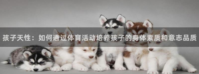 oety欧亿：孩子天性：如何通过体育活动培养孩子的身体素质和意志品质