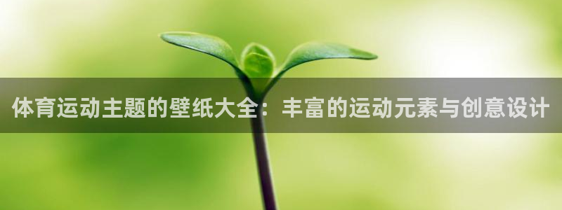 oety欧亿：体育运动主题的壁纸大全：丰富的运动元素与创意设计