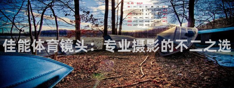 oety欧亿：佳能体育镜头：专业摄影的不二之选
